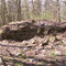 Burgstall Steineck, Hauptburg