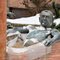 Ein erfrischendes Bad /A refreshing bath