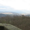 View from Tower
