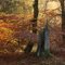Herbstlich