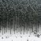 Winterkontraste