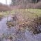 Hochmoor