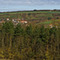 Schonungen, Forst
