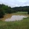 Zell- Wasser hinter Hochwasserdamm