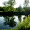 Spiegelimpression am Main (Mai 2011)