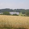 Blick vom Weg zur Burg Herzberg auf das Festivalgelände