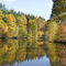 Teich im Udenhäuser Wald