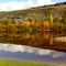 071105 Autumn view of Muschelkalk cliffs and vineyards from the Erlabrunner Badesee (bathing lake)