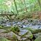 Holzbachschlucht