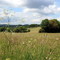 Blick vom Haigerer Tor Richtung Westerwald