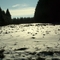 Winter im Westerwald