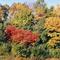 Herbst