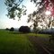 Before Sunset