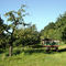 Streuobstland