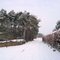 Auf dem Hausberg im Winter