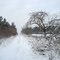 Auf dem Hausberg im Winter