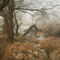 Winternebel