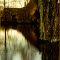 early evening shades