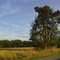 Nationalpark Kellerwald-Edersee