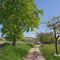 Weggabelung vor Unterdielbach