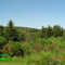 Medebach