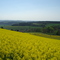 Blick vom Uplandsteig auf Welleringhausen