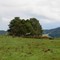 Landschaft bei Hillershausen