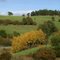 Goldener Herbst