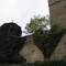 Burg Guttenberg, Deutsche Greifenwarte