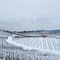 Weinberge zwischen Neckarsulm und Erlenbach
