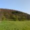 Panorama Schefflenztal