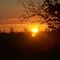 Sonnenuntergang bei Duttenberg
