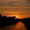 Sonnenuntergang am Altrhein