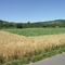 Radtour 06 - bei Tauberbischofsheim