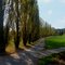 Herbstliches Licht- und Schattenspiel