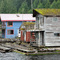 Loggerville, floating ghost town