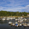 Knudson Cove Marina near Clover Pass, Alaska