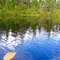 REFLECTION