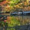 Late Summer Creek