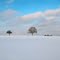 Winter Landscape