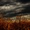 Autumn with AMAZING SKY (for my Friend ARKDIY)