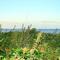 Blick in Richtung Fehmarn