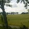 Landschaft und im Hintergrund Windkraftwerke