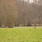 Natur im Wendland