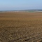 Agrarlandschaft im Eichsfeld zwischen Flinsberg und Heuthen...... 1