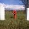 Well-guarded fire hydrant - 1981