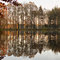 Forest Pond