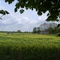 Hasenmoor landscape