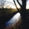 Herbstsonne an der Holmau