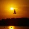 Last surveillance flight before sunset - 1986